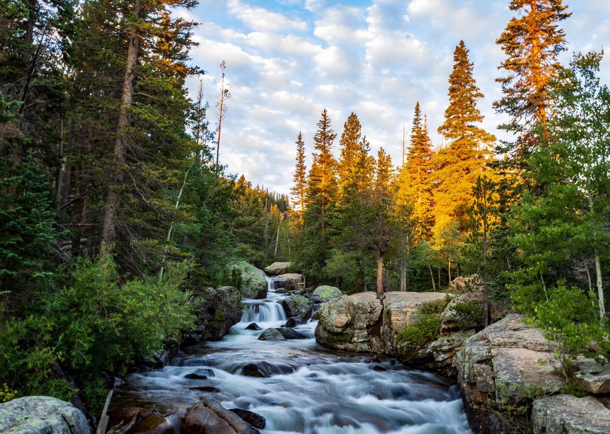 Drizzy_Drake222's tweet photo. Ouzel Falls and Copeland Falls:  Wild Basin Trail RMNP 🤘🏼 https://t.co/kXiuu58m8d