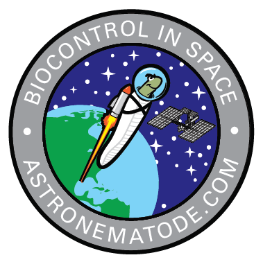 JInvertPathol's tweet photo. Nemtodes... IN SPACE?? Amazing!

Dynamics of entomopathogenic nematode foraging and infectivity in microgravity - presented by Fatma Kaplan at the @SocInvPathol #SIP22 Nematode Division Symposium

"There is no FedEX to the international space station..." - Fatma https://t.co/2mQIFoUwLl