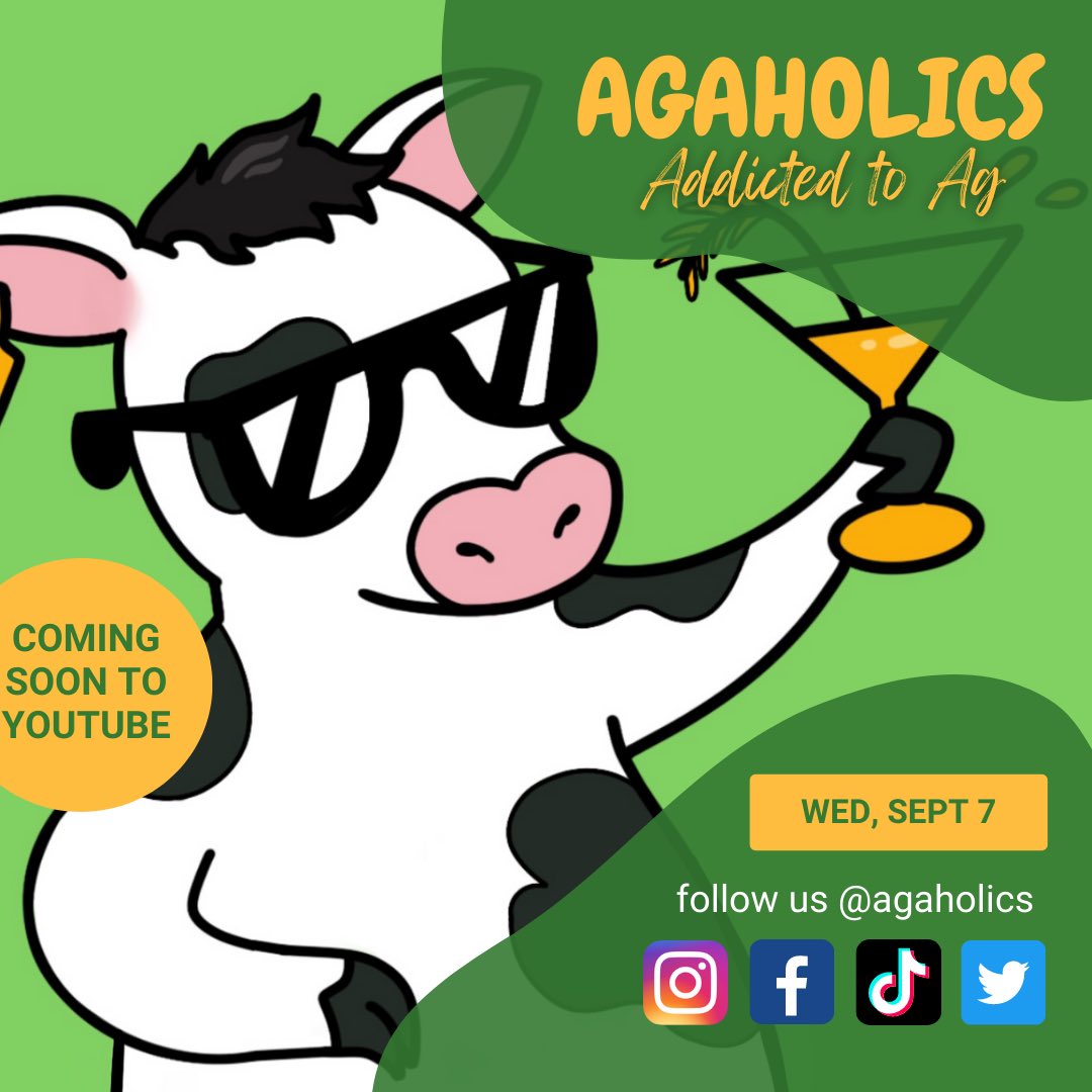 agaholics's tweet photo. MARK YOUR CALENDARS! Get ready to become addicted! Agaholics is coming to Youtube on Wed, Sept 7th. 🐄🌾🌽 https://t.co/WrBIL1FcdM