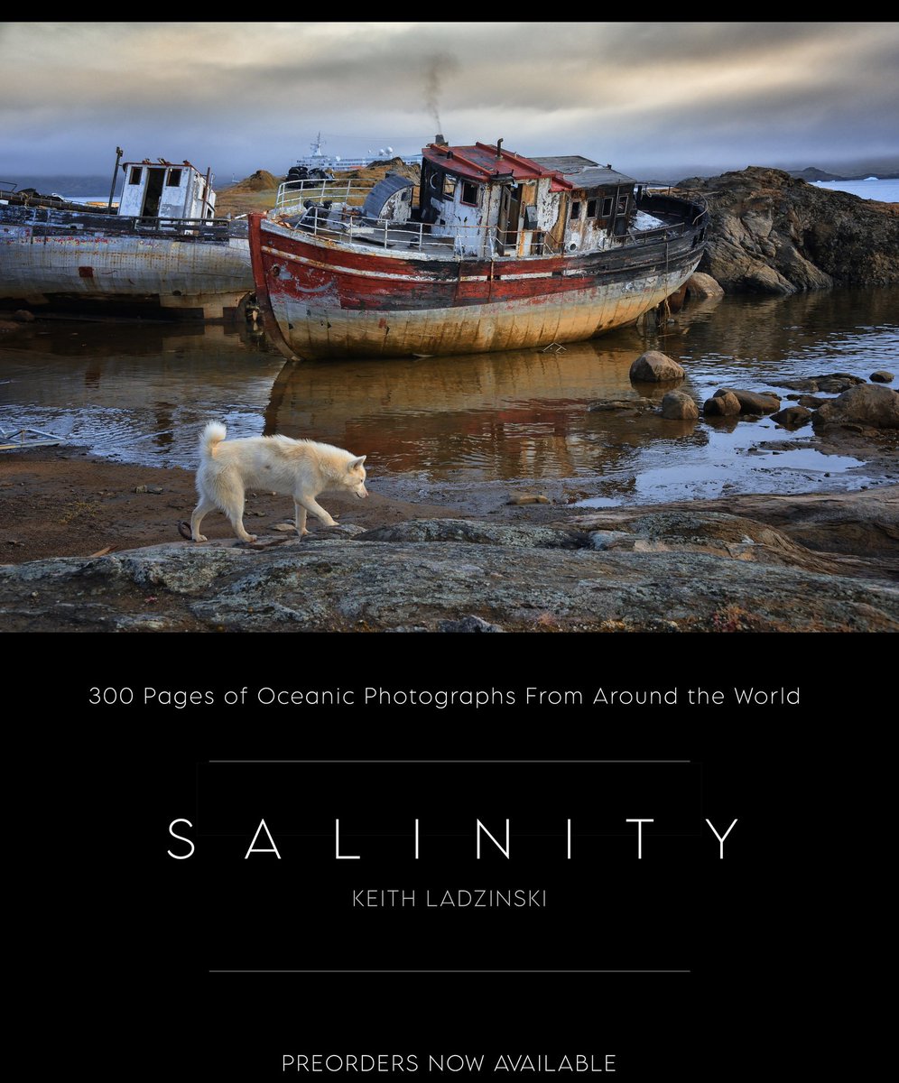 I’m excited to announce that my new book S A L I N I T Y is now available for preorder! ladzinski.myshopify.com/products/salin…