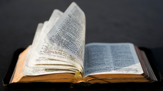 livetpg's tweet photo. 1 MINUTE MATTERS: 8 REMARKABLE FACTS ABOUT THE BIBLE 
https://t.co/GJvfrLorYu 
#bible #jesus #religion https://t.co/rsOD9RUUc7