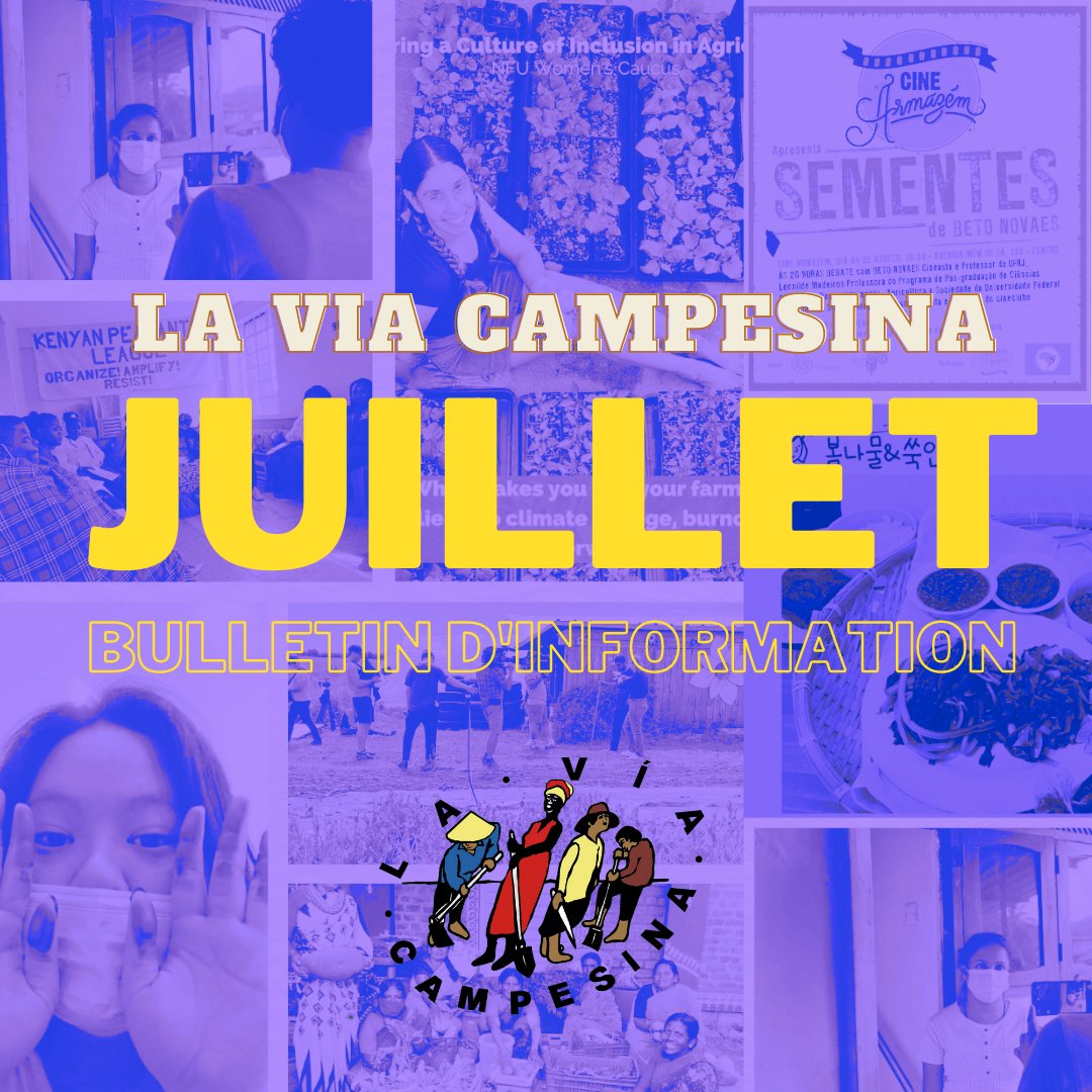 viacampesinaFR's tweet photo. #LVC30ans I À partir de ce mois-ci, nous publierons un bulletin mensuel d’informations et d’articles postés par les membres de #LaViaCampesina sur les médias sociaux. Voici les actualités de juillet👉https://t.co/Q0cRYMdLba #NewsWrap #LaitBio #Tournage #VenteDeFruitsEtLégumes et+ https://t.co/zv2JrdM42V