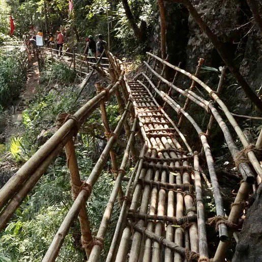 thinkbamboo's tweet photo. π Bamboo Trek In Meghalaya, India. Many bamboo bridges and constructions. The North-Eastern states of India also known as the seven sisters are a hidden jewel. #thinkbamboo #bamboo #bambooconstructions #bamboodridge https://t.co/fIX6yu0rDN