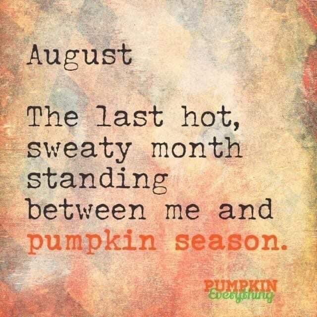 _AshleeCoffey_'s tweet photo. It’s true. #oversummer #hurryfall #Halloween #spookyseason #pumpkin https://t.co/3nL3sAC2hN