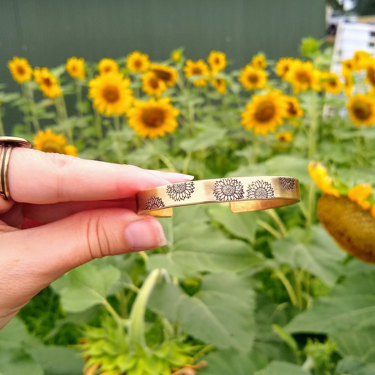 wander_shop's tweet photo. 🌻🌻🌻
https://t.co/9SOPbphdSv https://t.co/iI4HGwcjvL