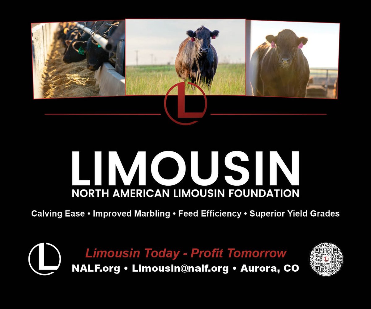 Why do you continue to choose Limousin and Lim-Flex genetics? #completingthecircle #limousinproud #limflex