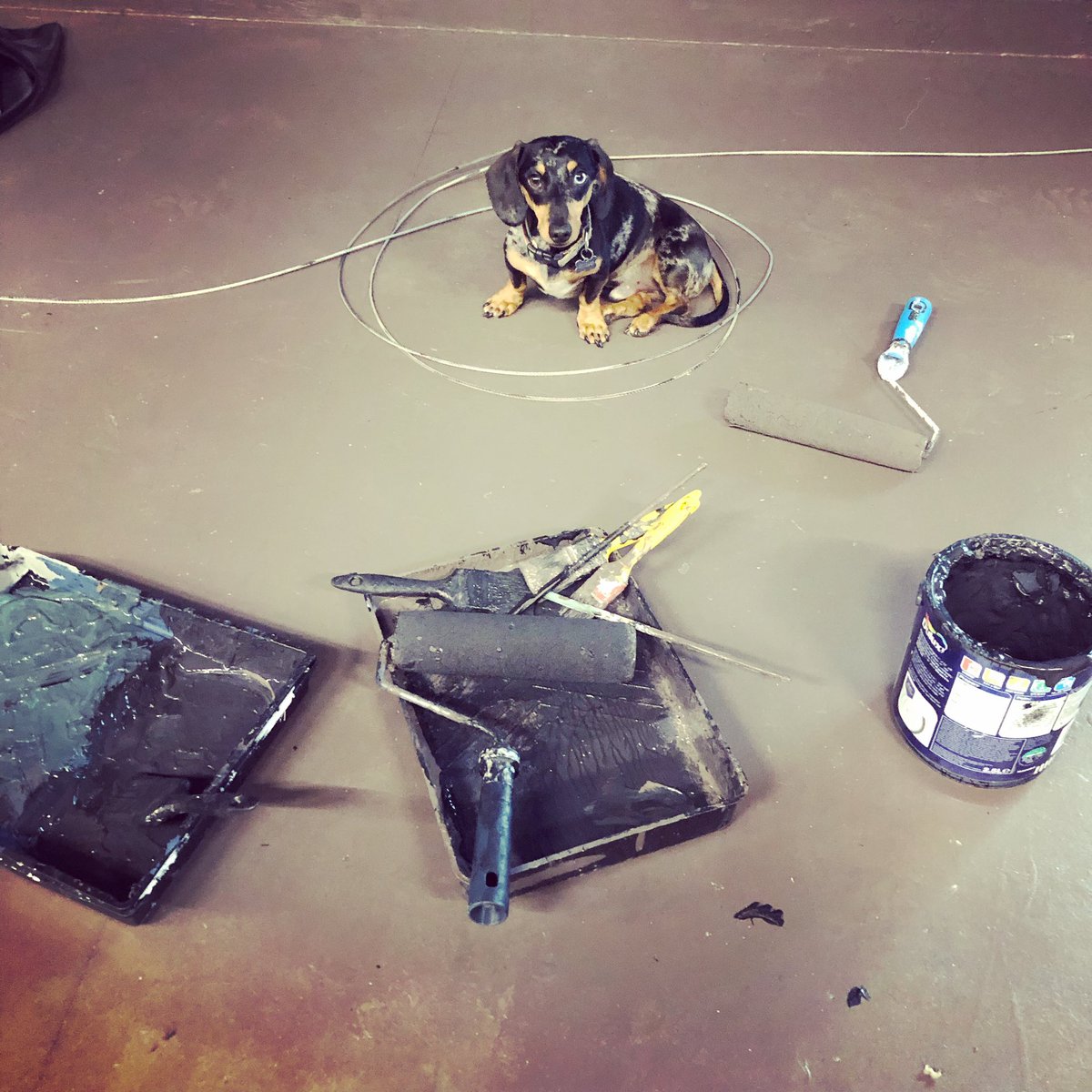 Pan has been hard at work paining our forest in The Attic. We open Friday night!

#shakespeare #amidsummernightsdream #stratforduponavon #warwickshire #theatre #tech #setdesign