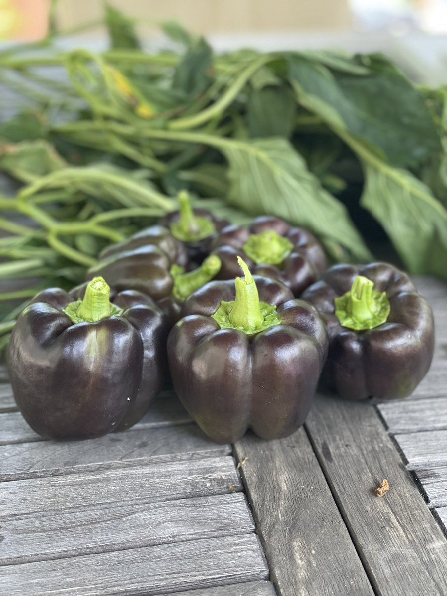 Charlie Stillitano tweet media