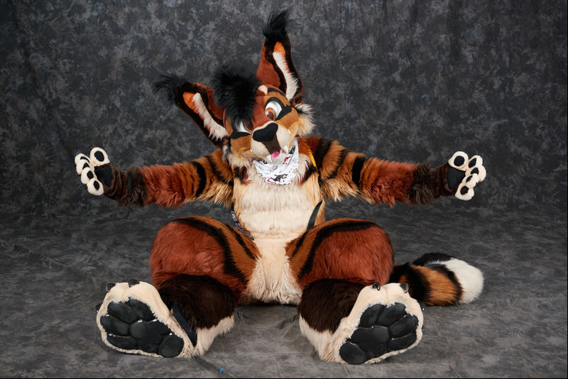 Anthrocon, Inc. tweet media