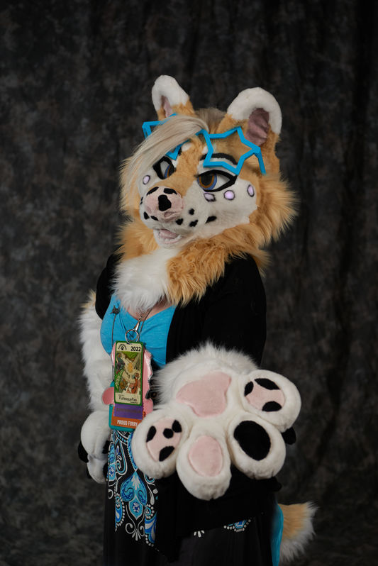 Anthrocon, Inc. tweet media