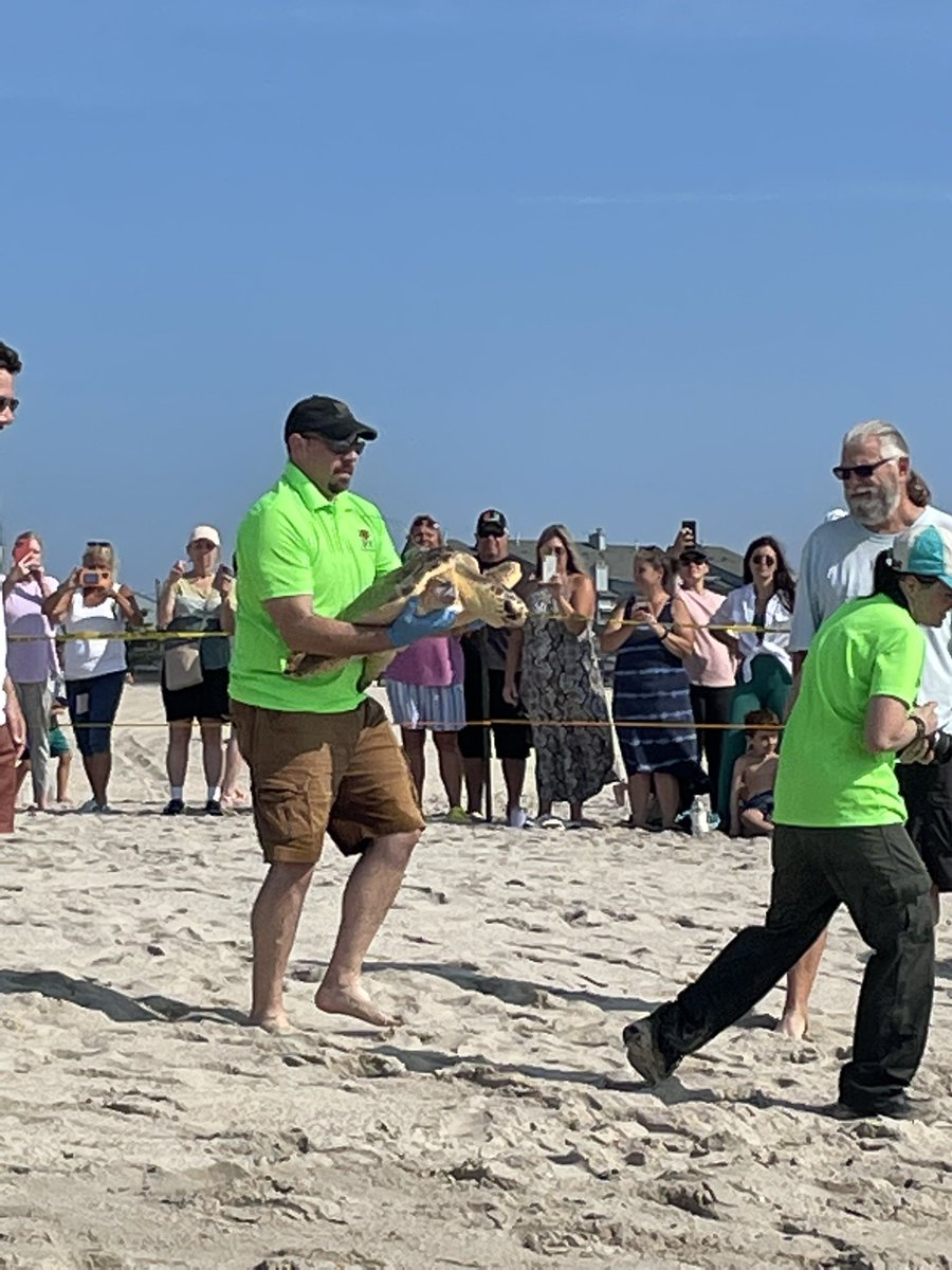 loggerhead_rov's tweet photo. It was sea turtle release day for our friends at the Sea Turtle Recovery! Titan our adopted loggerhead turtle which we named last fall went back to his home in the ocean! 🐢🐢🐢@RebeccaKreider @PrincipalMOHS @KevinRStansber1 https://t.co/bsvYWWuOSS