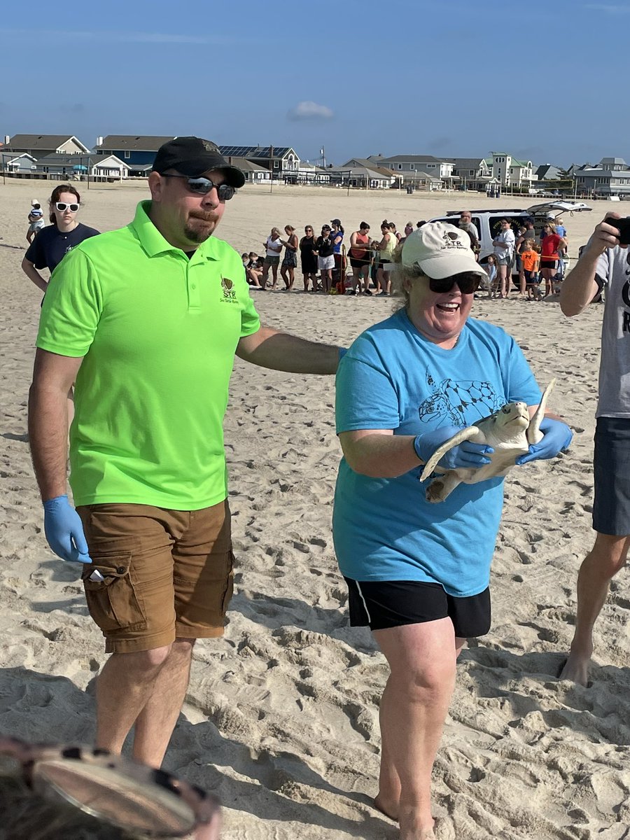 loggerhead_rov's tweet photo. It was sea turtle release day for our friends at the Sea Turtle Recovery! Titan our adopted loggerhead turtle which we named last fall went back to his home in the ocean! 🐢🐢🐢@RebeccaKreider @PrincipalMOHS @KevinRStansber1 https://t.co/bsvYWWuOSS