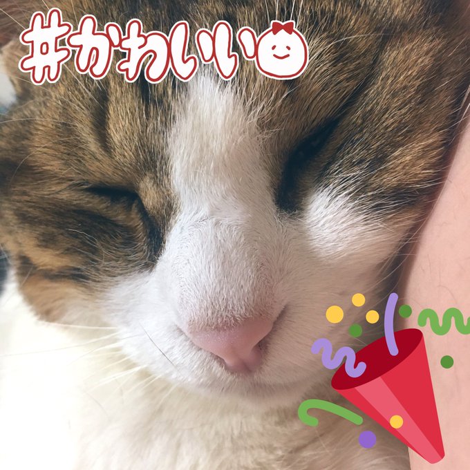 腕のtwitterイラスト検索結果