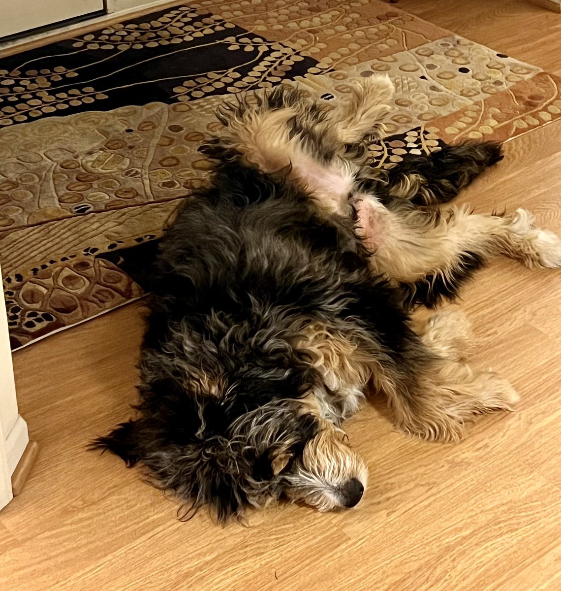 Karlene McGibbon tweet media