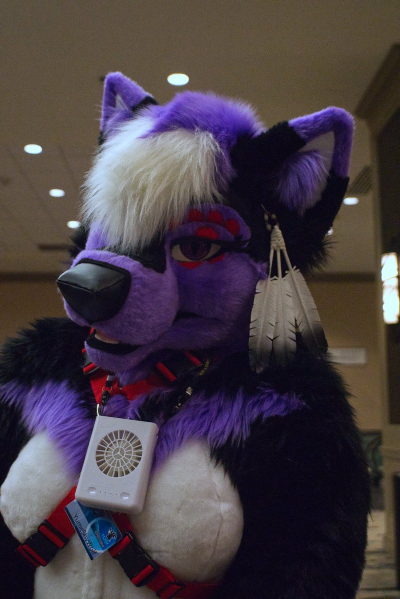 StirlingCorgi's tweet photo. Photos from Texas Furry Fiesta 2022, tag any suiter you see. @otterboi #TFF #TFF22 #furry #fursuit #TexasFurryFiesta https://t.co/OcuzCvE805