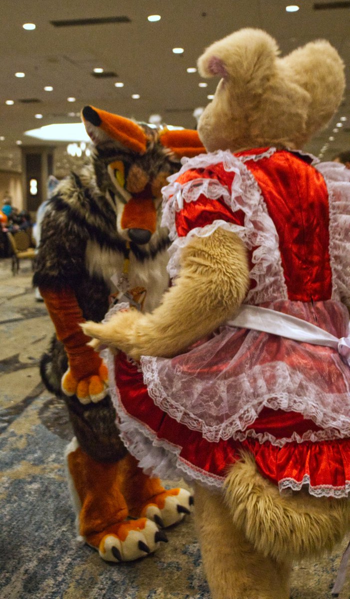 StirlingCorgi's tweet photo. Photos from Texas Furry Fiesta 2022, tag any suiter you see. @otterboi #TFF #TFF22 #furry #fursuit #TexasFurryFiesta https://t.co/OcuzCvE805