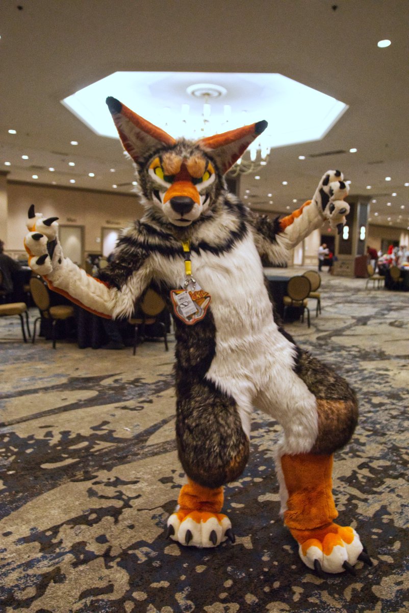 StirlingCorgi's tweet photo. Photos from Texas Furry Fiesta 2022, tag any suiter you see. @otterboi #TFF #TFF22 #furry #fursuit #TexasFurryFiesta https://t.co/OcuzCvE805