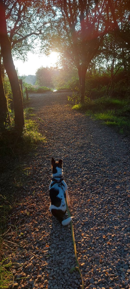 Frank & Polly tweet media