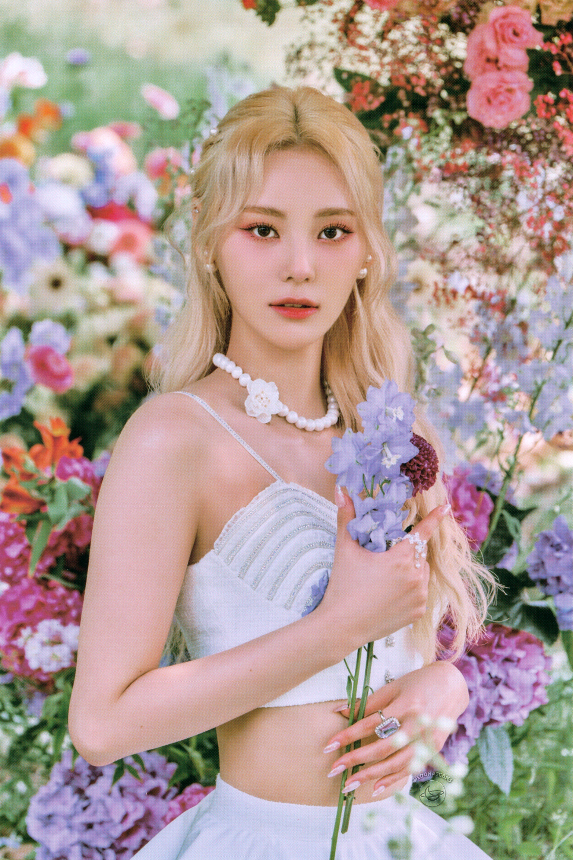 loona scans on X: 