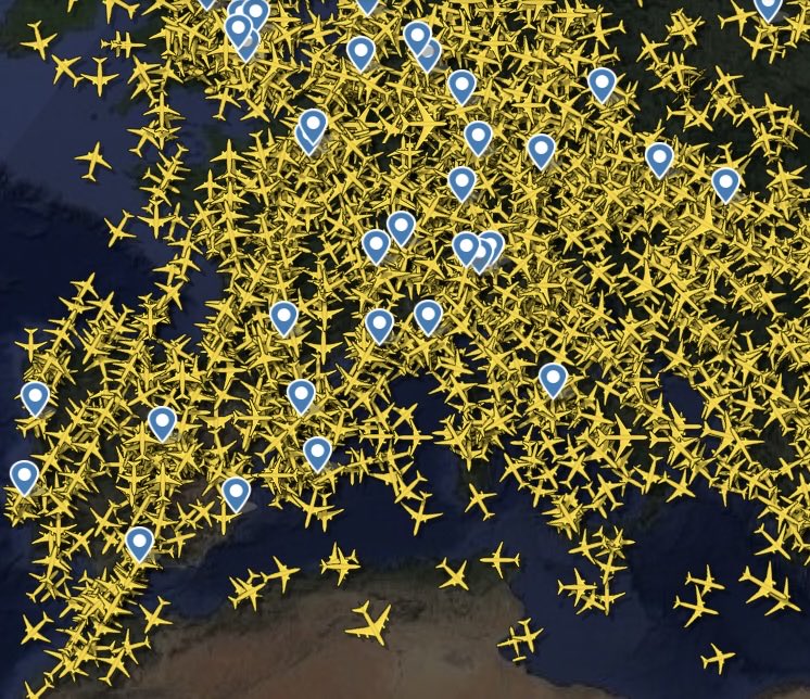 Ovella Ripollesa tweet media