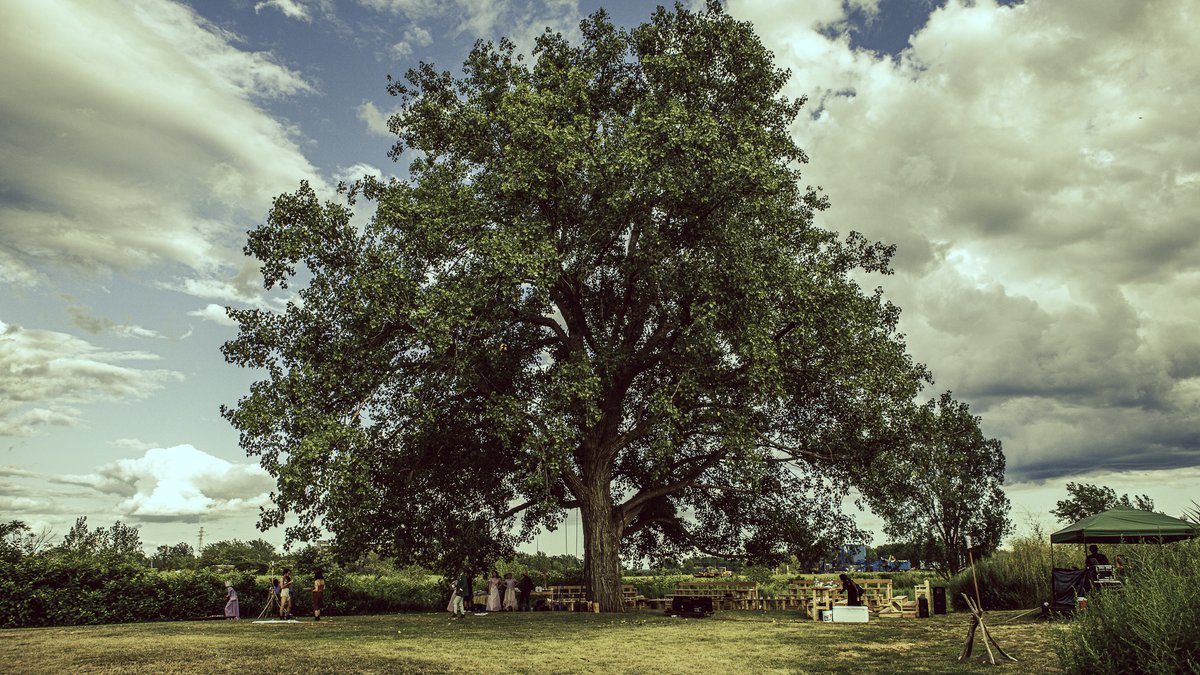 Torn Space Theater tweet media