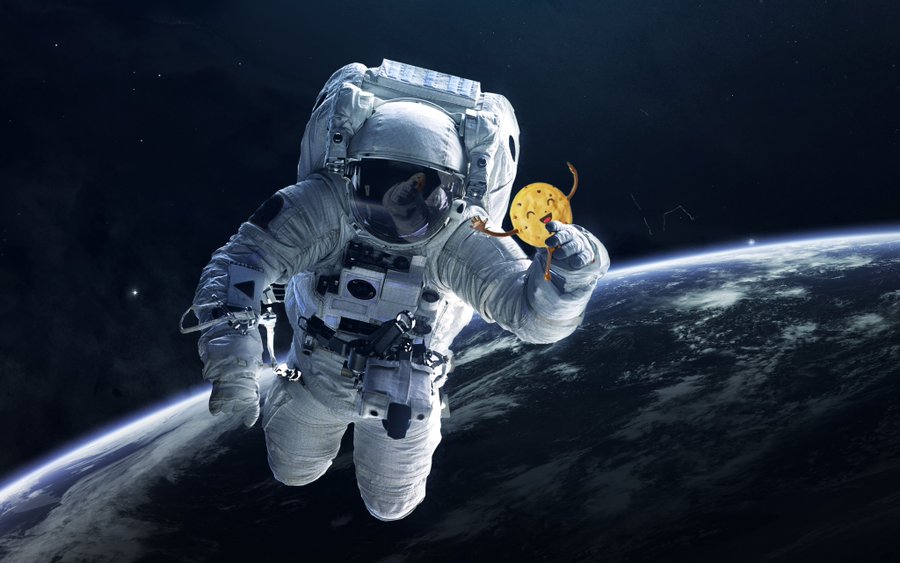 ChieffSenator's tweet photo. @Kodi_Coin cookiesale is already on the moon, come on baby 🍪🍪🍪🚀 https://t.co/mJSQkN2lJg