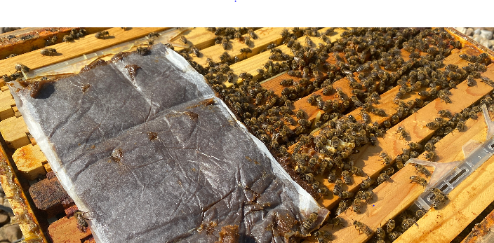 Beekeeper Group tweet media