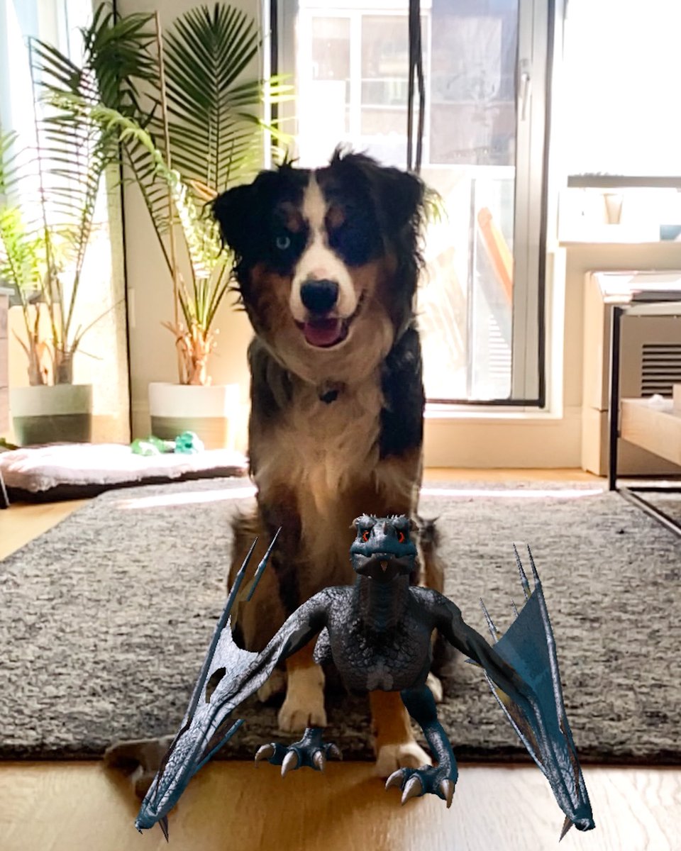 _samgarrison's tweet photo. Brothers! #HouseOfTheDragon #dracarys https://t.co/ApNb4HrkkL
