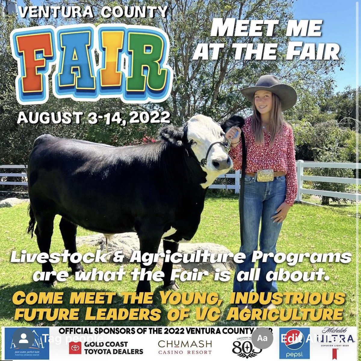 Say hello to the hard working kids in the Livestock area &amp; support their efforts to further agriculture in Ventura County. Agriculture is our past, present &amp; future.
For more information about the Ventura County fair and the Livestock Auction please visit venturacountyfair.org