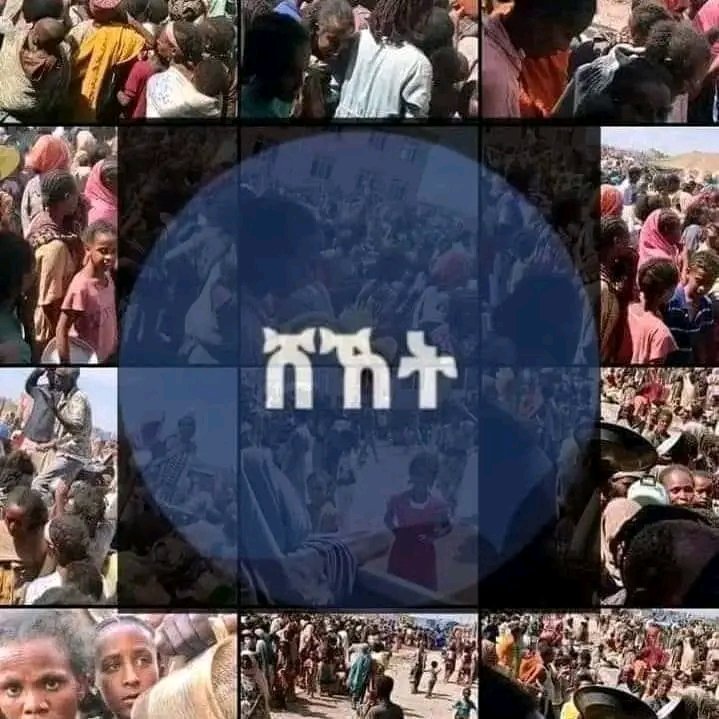 ሄቨን ብርሃኑ (Genet) tweet media