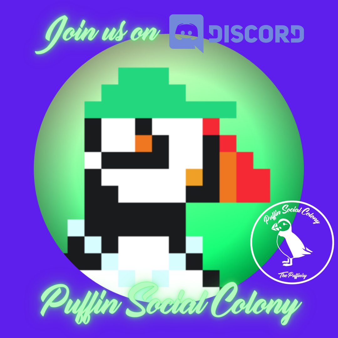 Join the official Discord server of the Puffin Social Colony and receive 2 free Retro Puffin #NFTs ! #NFTCommunity #PolygonNFTs #FreeNFTs #NFTAirdrop discord.gg/Uc3dyWJHy3