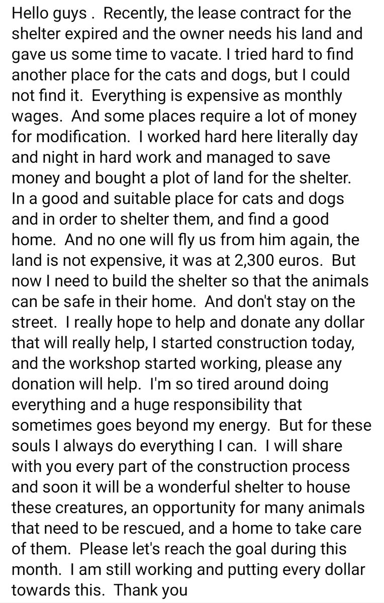 SyrianSora's tweet photo. A very important statement for shelters and hundreds of cats and dogs I could not put all the explanation in the descriptionI made it into a picture
Please guys donate every is very useful and very important
Paypal Donation Link
https://t.co/ospIf0SNI4
Ar 
https://t.co/nrrmwOPHXo https://t.co/LeXZcj4GBe