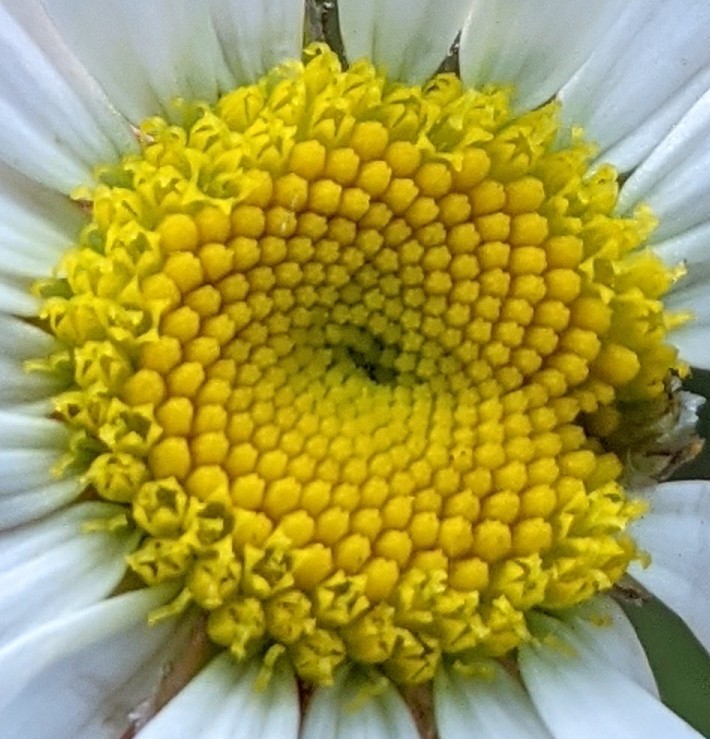 Joe Norman tweet media