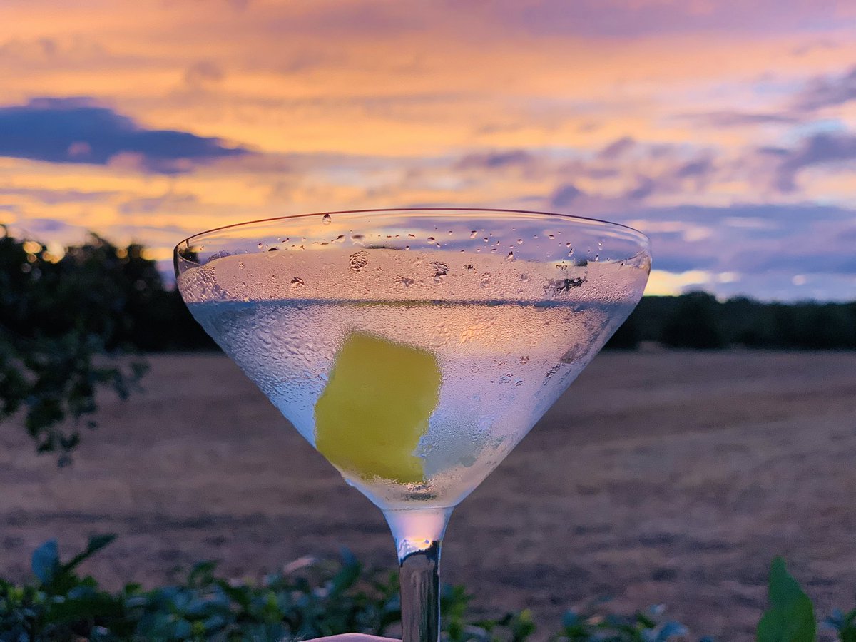 theginshelf's tweet photo. There’s a reason @HernoGin are the best in the world (certified multiple times!) at what they do!

Check out my thoughts, whilst I enjoy this Martini…🍸

https://t.co/iEOW729uHW

#gin #hernögin #martini #ginblog https://t.co/egTnixEj86