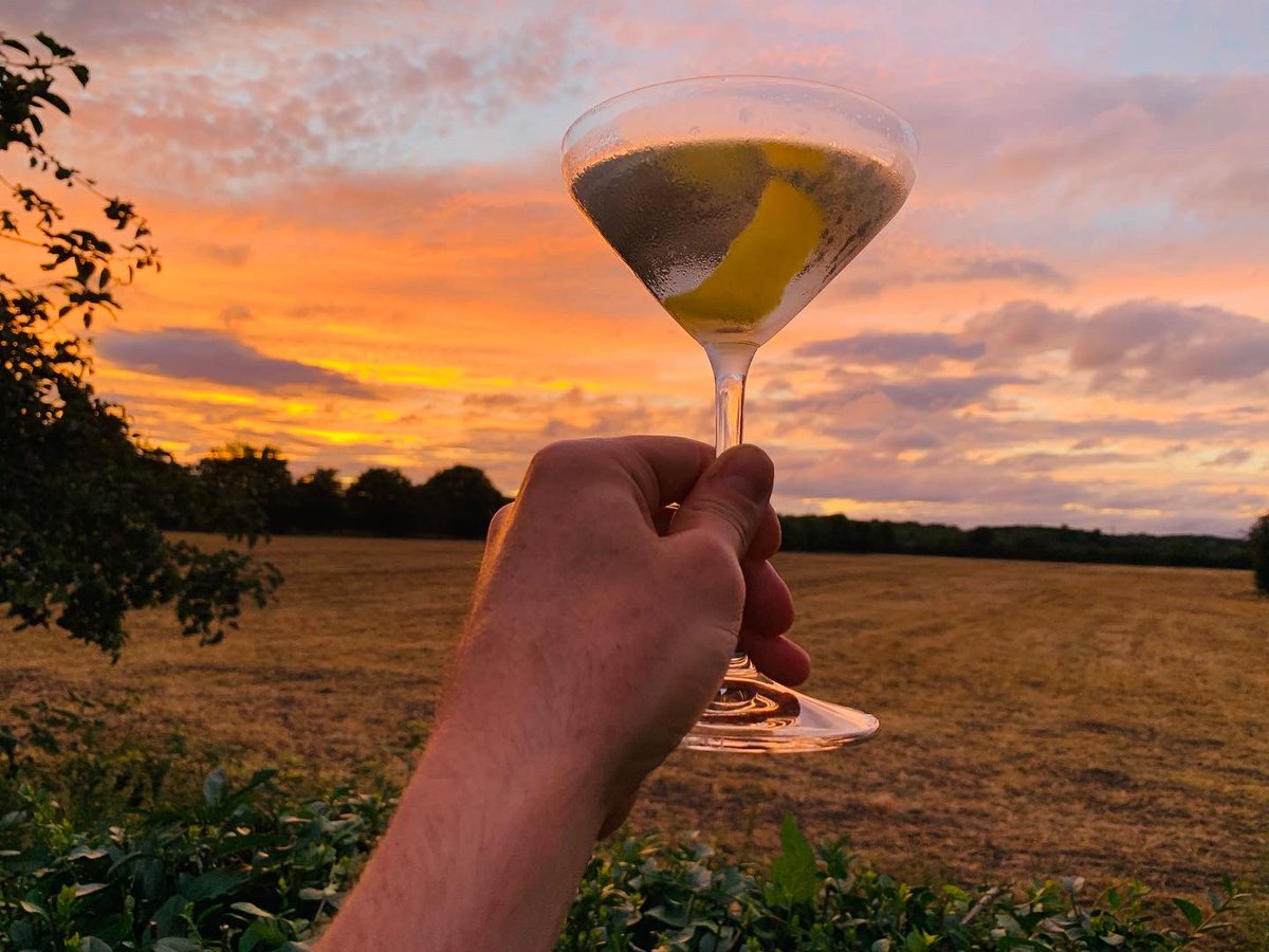 theginshelf's tweet photo. There’s a reason @HernoGin are the best in the world (certified multiple times!) at what they do!

Check out my thoughts, whilst I enjoy this Martini…🍸

https://t.co/iEOW729uHW

#gin #hernögin #martini #ginblog https://t.co/egTnixEj86