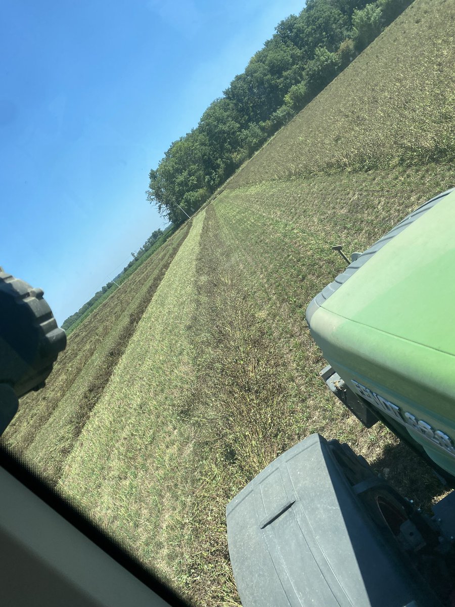 C’est parti pours fauches de trèfle 🍀 violet et de luzerne le toit pour de la bonne semence !! #ceuxquifontlasemence #Bourgogne <a href="/_BourgogneDuSud/">Bourgogne Du Sud</a> <a href="/LaFNAMS/">FNAMS</a>