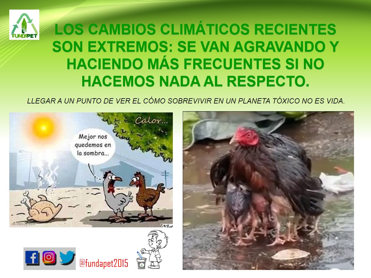 fundapet2015's tweet photo. Ver esta foto de Instagram de @fundapet2015 https://t.co/FyQCPWQqfy  Todo lo que contamine genera de la propia naturaleza una respuesta negativa que va en detrimento de todo ser viviente y inclusive comprometiendo nuestra propia vida o de nuestros descendientes.
#cambioclimatico https://t.co/piqLBbVxwu