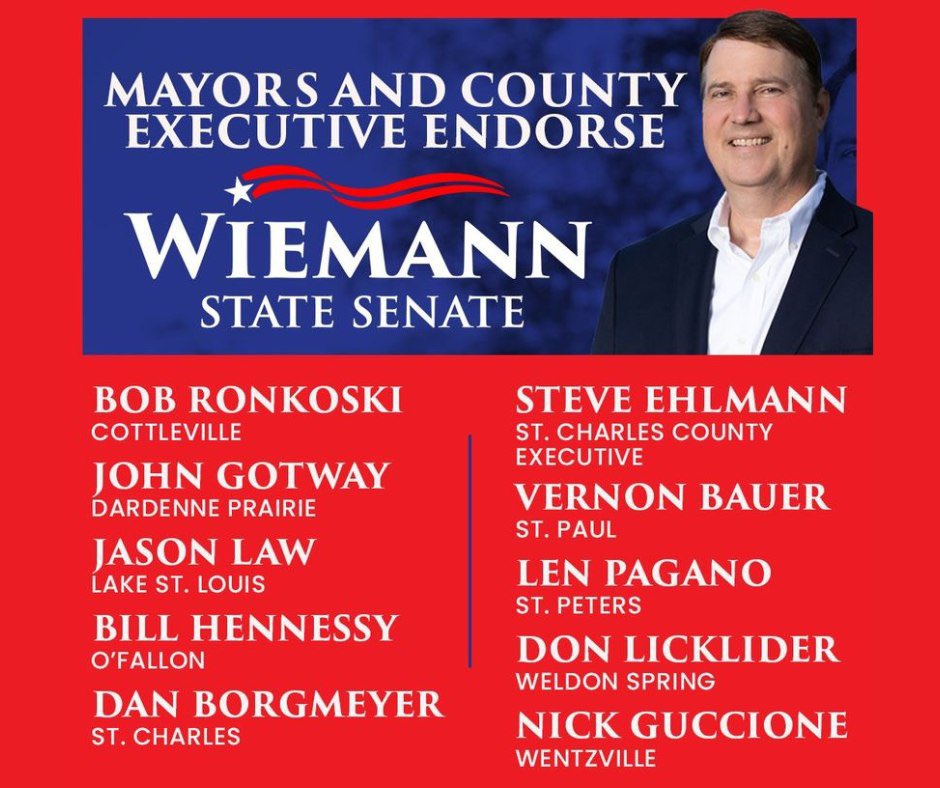 Steve Ehlmann for County Executive tweet media