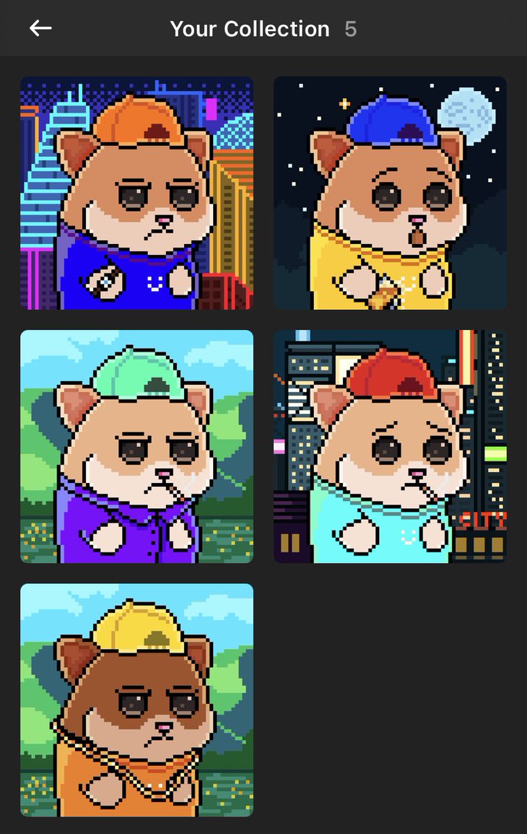 ☄️fenderflip tweet media