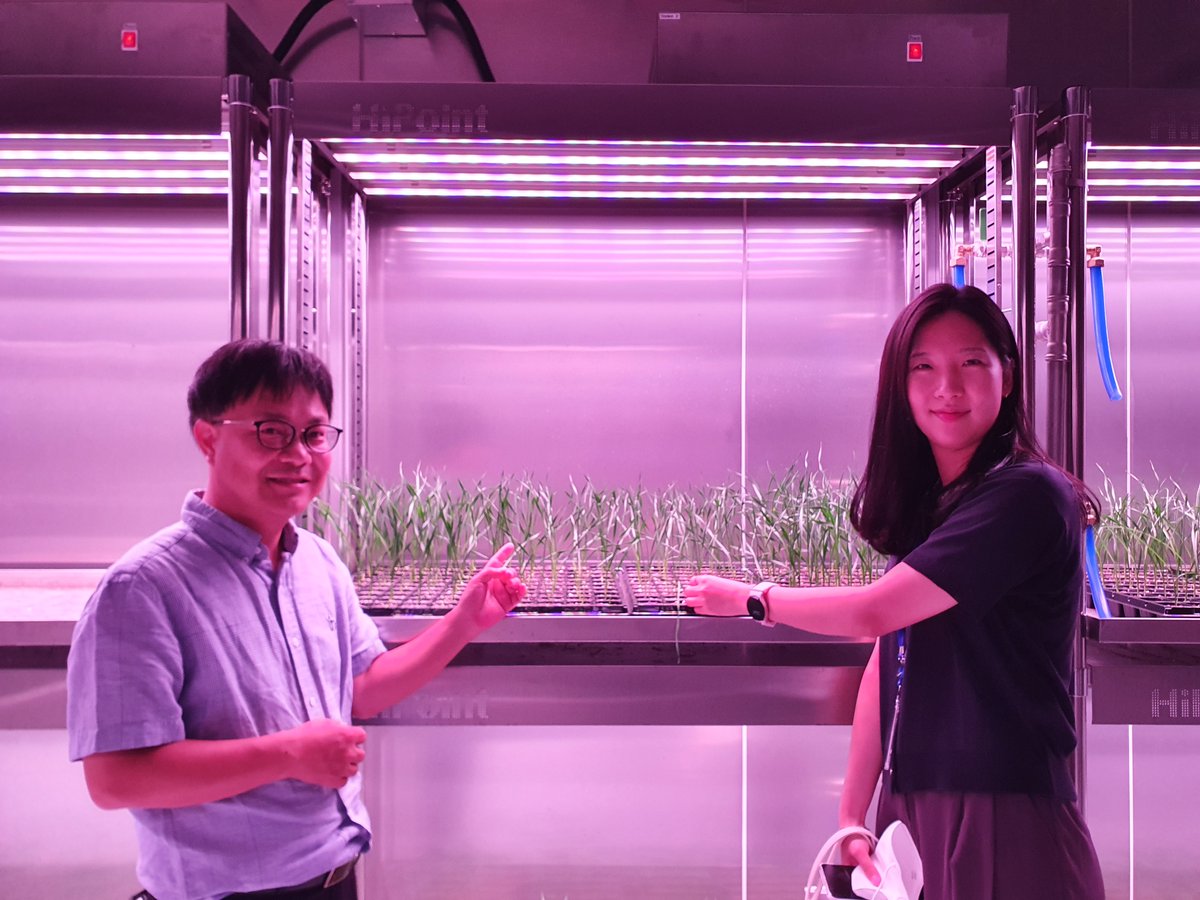 DrHikov's tweet photo. “We have reduced the vernalisation time from eight weeks to just four weeks and this enables plant breeders to grow up to five generations of winter cereals per year,” Dr Shin said

News story here: https://t.co/uQL3OMoICX
Methods paper here: https://t.co/KPKy6c2jxn https://t.co/XXVcFLcYGg