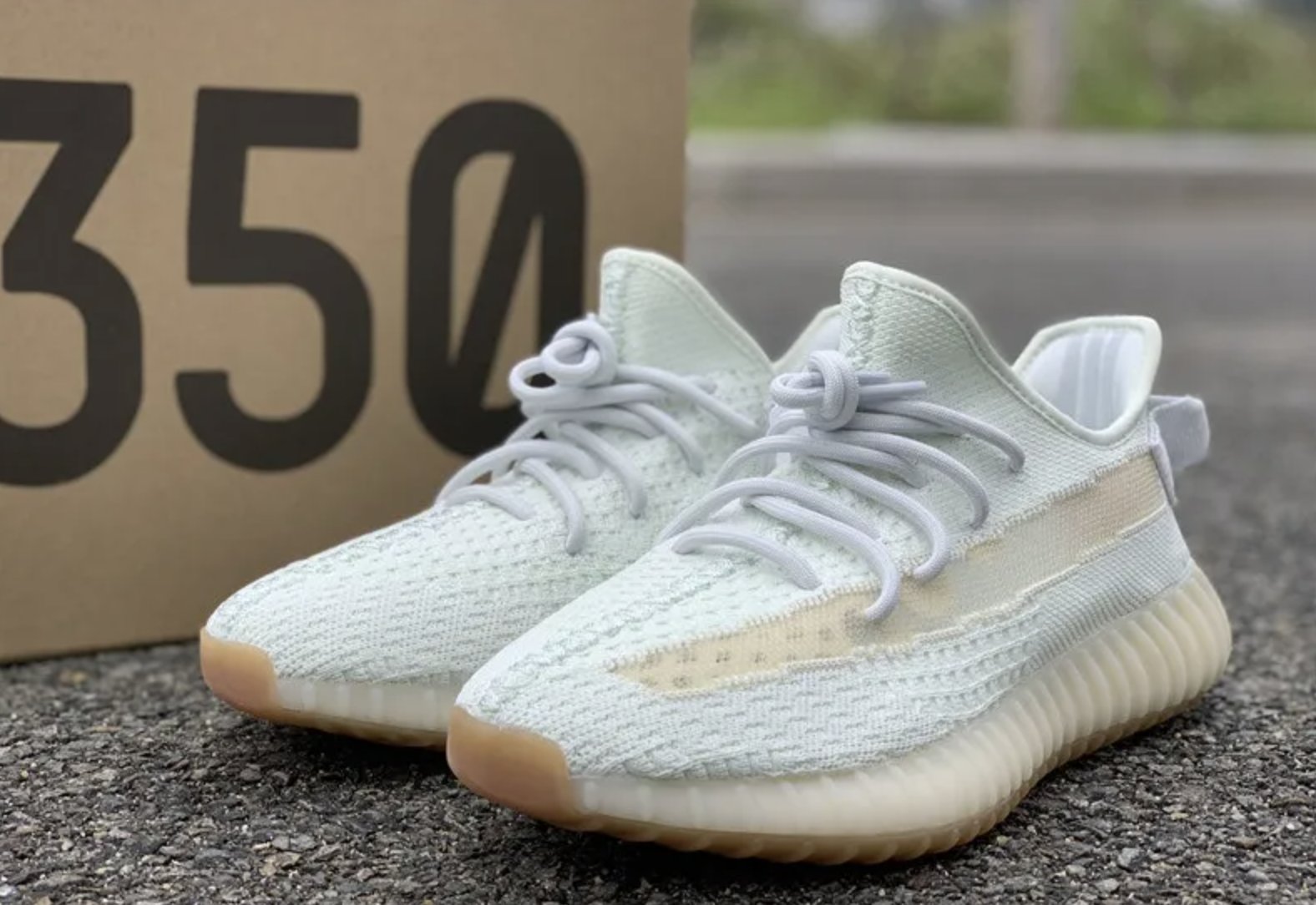 Adidas Yeezy 350