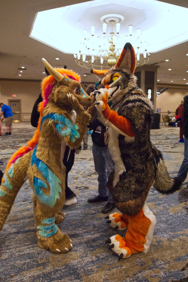 StirlingCorgi's tweet photo. Photos from Texas Furry Fiesta 2022, tag any suiter you see. #TFF #TFF22 #furry #fursuit #TexasFurryFiesta https://t.co/vBvXVcJvOu