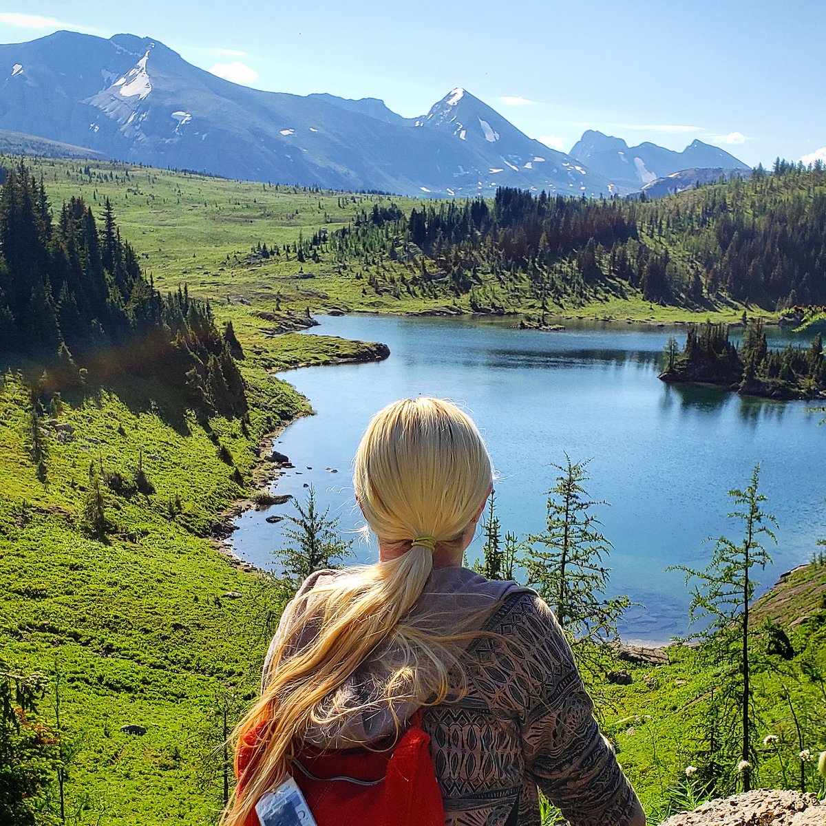 Nothing Ever Happens in Canada tweet media