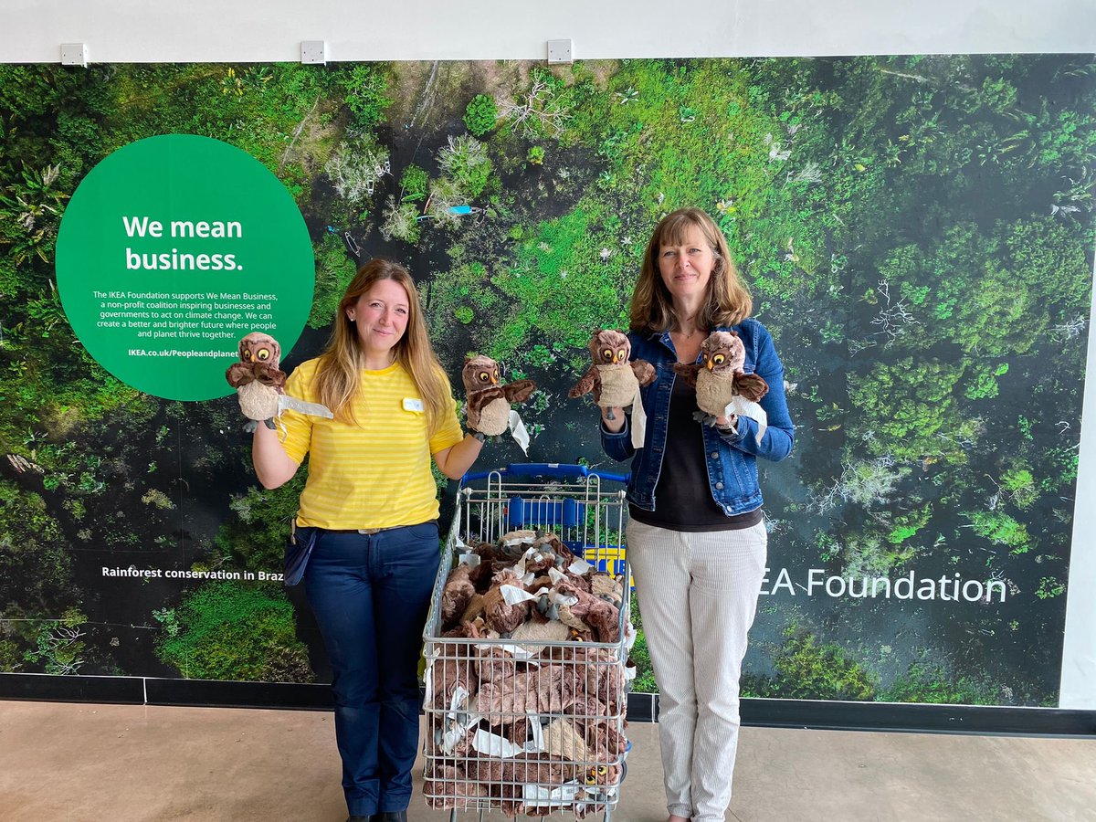 CFG_DEVON's tweet image. Big thanks to IKEA @IKEAUK Exeter store for their donation of owls for our children today 😊