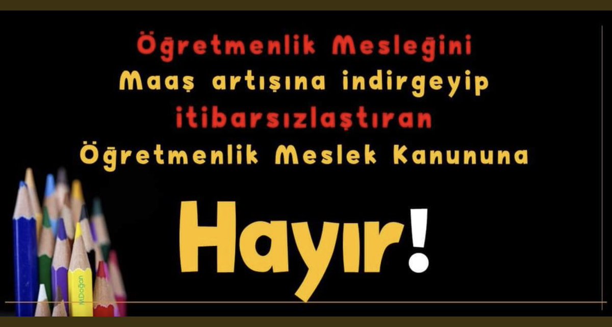 🌻 tweet media