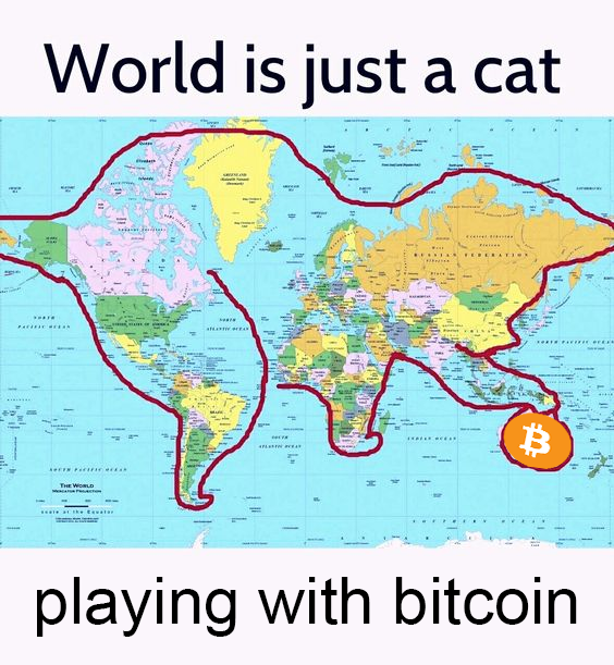 Altcoin Daily tweet media