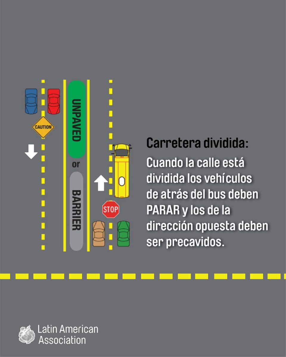 TheLAA's tweet photo. Durante la semana de regreso a la escuela queremos recordarte, que hacer si manejas atrás o al lado de un 🚍🏫 autobús. ¡Cuidemos la vida de nuestros niños, son el futuro de nuestro país!
#TheLAA #escula #school #highschool #busescolar #normasdetransito https://t.co/ZUo6Vksr7J