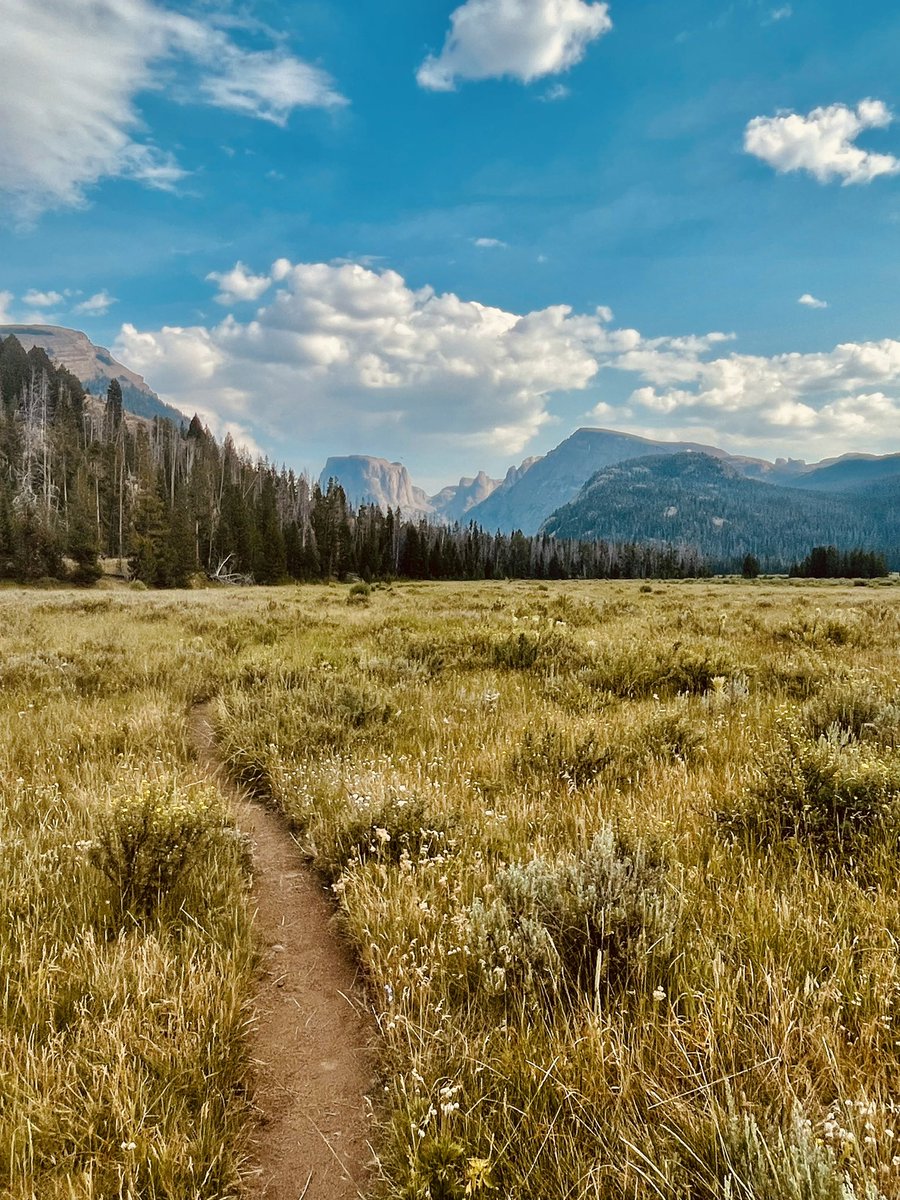 GDraper70's tweet image. #WindRiverRange #BridgerTetonNatlForest