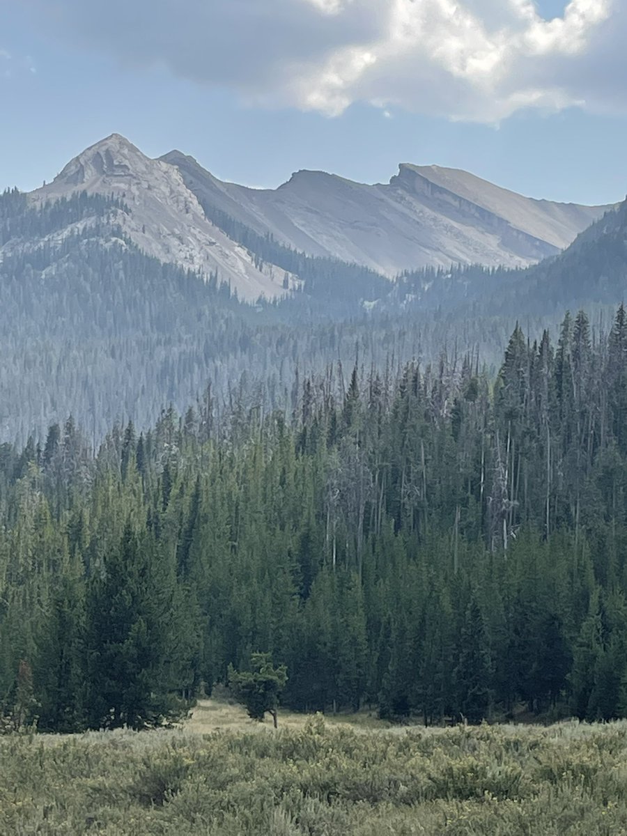 GDraper70's tweet image. #WindRiverRange #BridgerTetonNatlForest