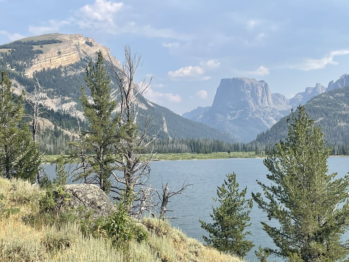 GDraper70's tweet image. #WindRiverRange #BridgerTetonNatlForest